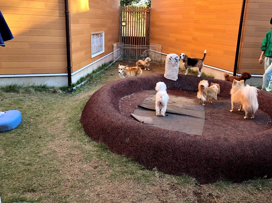 東京ドイツ村は1日中遊べる 自然豊かな巨大テーマパーク 千葉 ヨコタイム